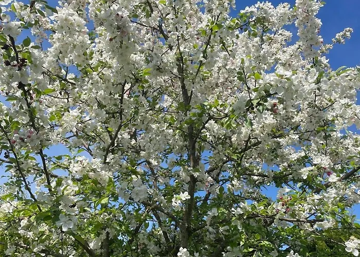 Am Penzkofergut Tatil Evi