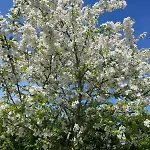 Am Penzkofergut בית נופש